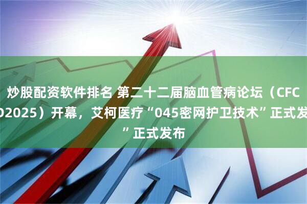 炒股配资软件排名 第二十二届脑血管病论坛（CFCVD2025）开幕，艾柯医疗“045密网护卫技术”正式发布